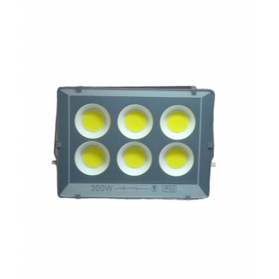 REFLECTOR LED M-IP66 300W